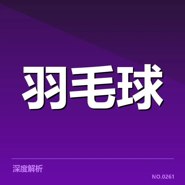 已确认的判罚事实与赛事数据